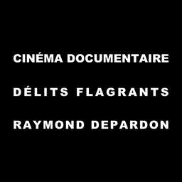 Le cinéma documentaire - Délits flagrants de Raymond Depardon