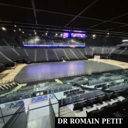 Illustration du billet Visite de l’Accor Arena (Bercy / POPB) 